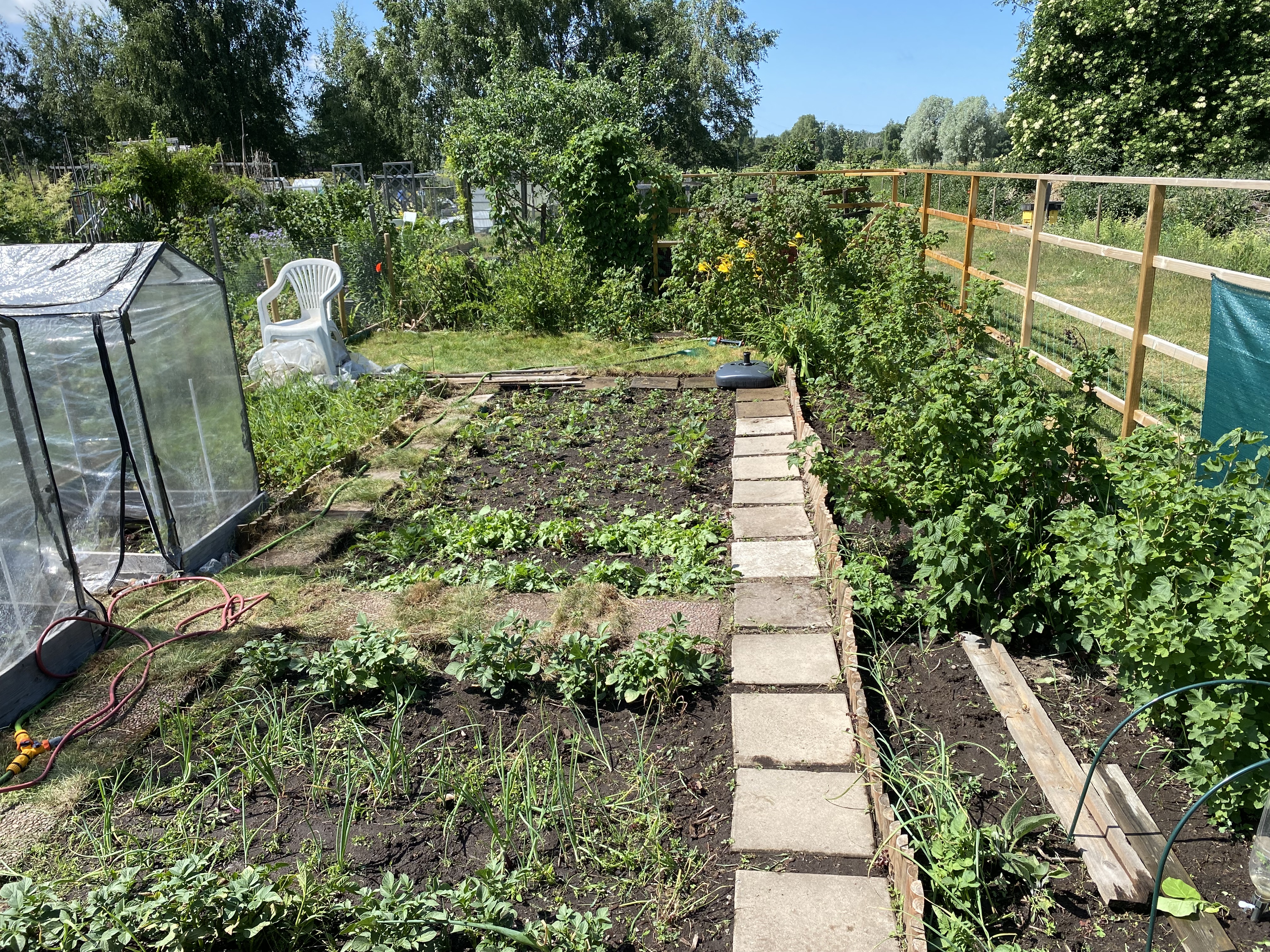 Garden